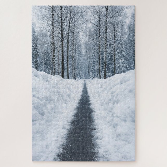 Nebeliger Winterwaldweg Winterlandschaft (Vertikal)