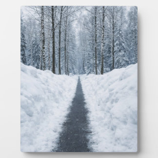 Nebeliger Winterwaldweg Winterlandschaft Poster Fotoplatte