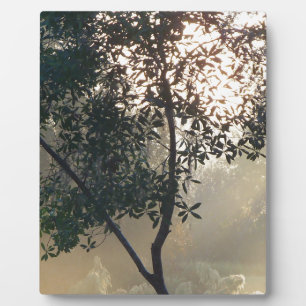 Nebelmorgendlicher Sonnenaufgang Fotoplatte