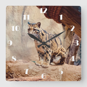 Nebelparder Bild Natur Wildleben exotisch Quadratische Wanduhr
