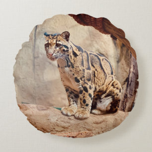 Nebelparder Bild Natur Wildleben exotisch Rundes Kissen