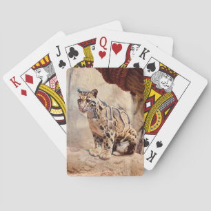 Nebelparder Bild Natur Wildleben exotisch Spielkarten