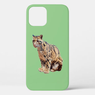 Nebelparder-Foto Dschungel große Katze Tier Case-Mate iPhone Hülle