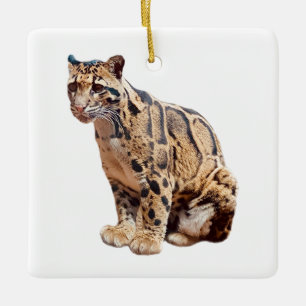 Nebelparder-Foto Dschungel große Katze Tier Keramikornament