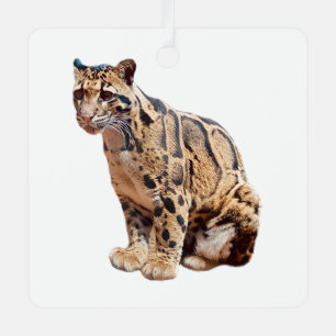 Nebelparder-Foto Dschungel große Katze Tier   Ornament Aus Metall