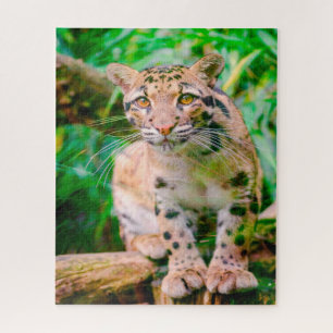 Nebelparder Großkatzen-Puzzle