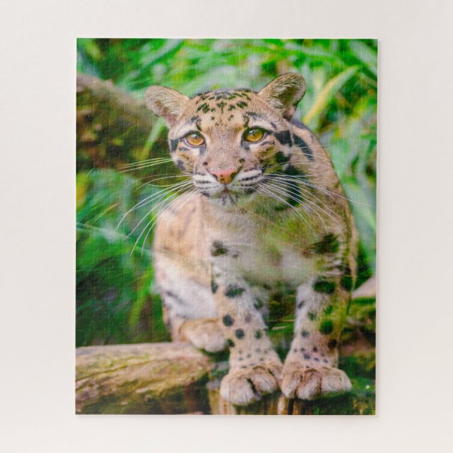Nebelparder Großkatzen-Puzzle (Vertikal)