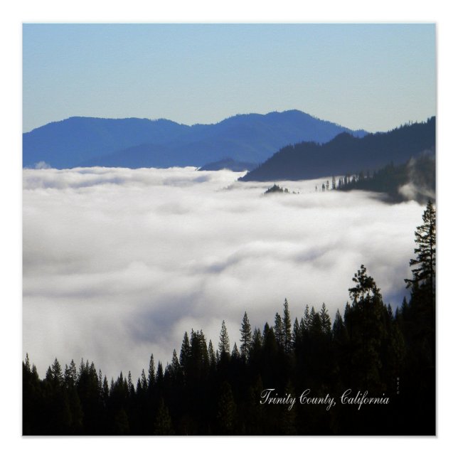 Nebelsee durch Bäume... Poster (Vorderseite)