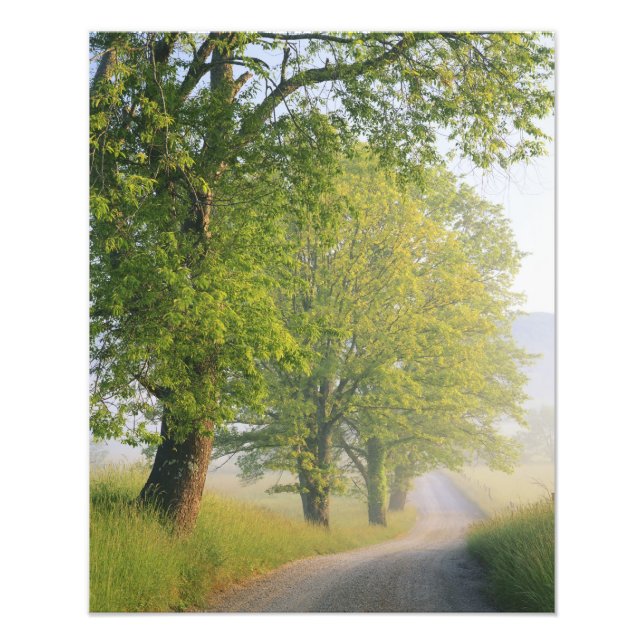 Nebelstrasse, Höhlenbucht, Grosser Raucher Fotodruck (Vorne)