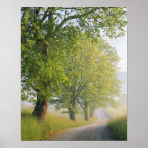 Nebelstrasse, Höhlenbucht, Grosser Raucher Poster