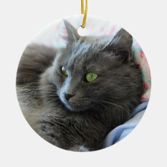 Nebelung Katze Keramik Ornament (Vorne)
