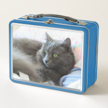 Nebelung Katze