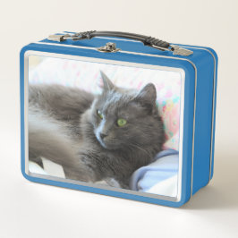 Nebelung Katze Metall Brotdose