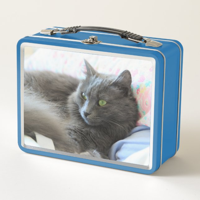 Nebelung Katze Metall Brotdose (Vorderseite)