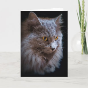 Nebelung Langhaar-Russisch-Blau-Katzenporträt Karte