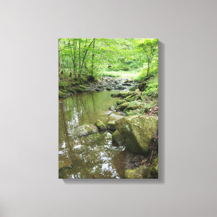 Nebelwald-Leinwand-Wandkunst Ruhige Natur Leinwanddruck