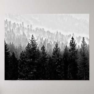 Nebelwald Poster