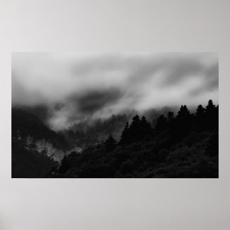 Nebelwald Poster