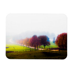 Nebelwiese im Herbst Magnet