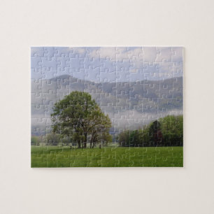 Nebelwiese und Rich Mountain, Cades Cove,