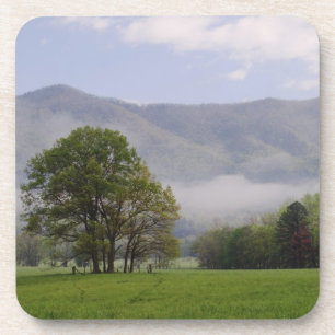 Nebelwiese und Rich Mountain, Cades Cove, Getränkeuntersetzer