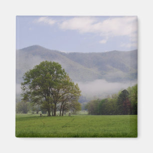 Nebelwiese und Rich Mountain, Cades Cove, Magnet