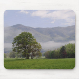 Nebelwiese und Rich Mountain, Cades Cove, Mousepad