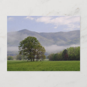 Nebelwiese und Rich Mountain, Cades Cove, Postkarte
