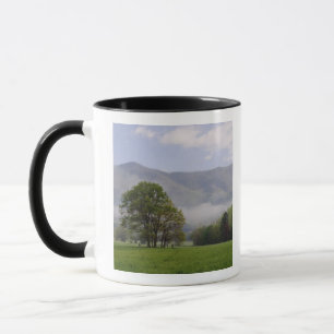 Nebelwiese und Rich Mountain, Cades Cove, Tasse