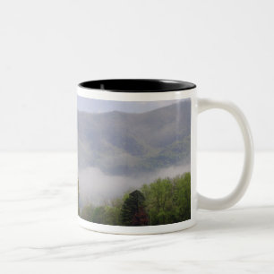 Nebelwiese und Rich Mountain, Cades Cove, Zweifarbige Tasse