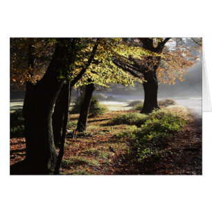 Nebenkarte im Herbst