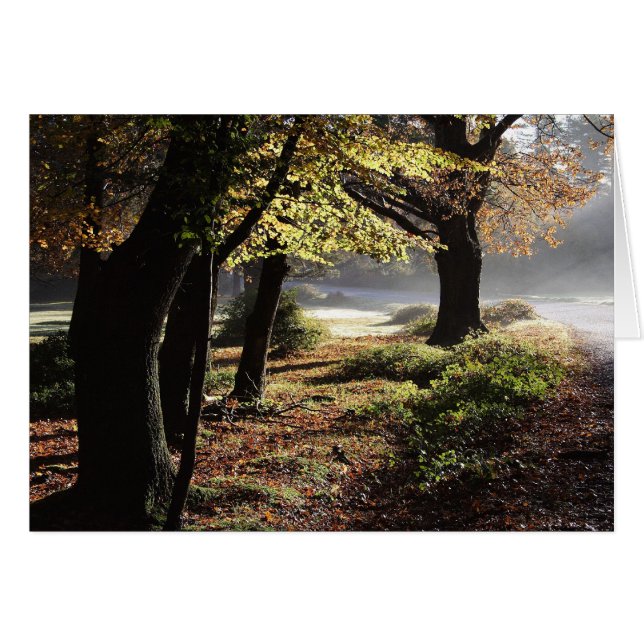 Nebenkarte im Herbst (Vorderseite (Horizontal))