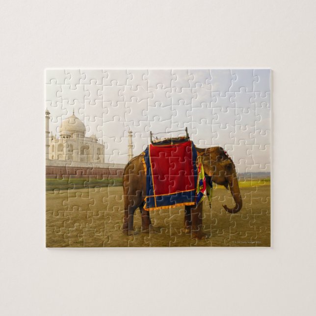 Nebenprofil eines Elefanten, Taj Mahal, Indien (Horizontal)