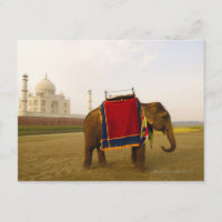 Nebenprofil eines Elefanten, Taj Mahal, Indien