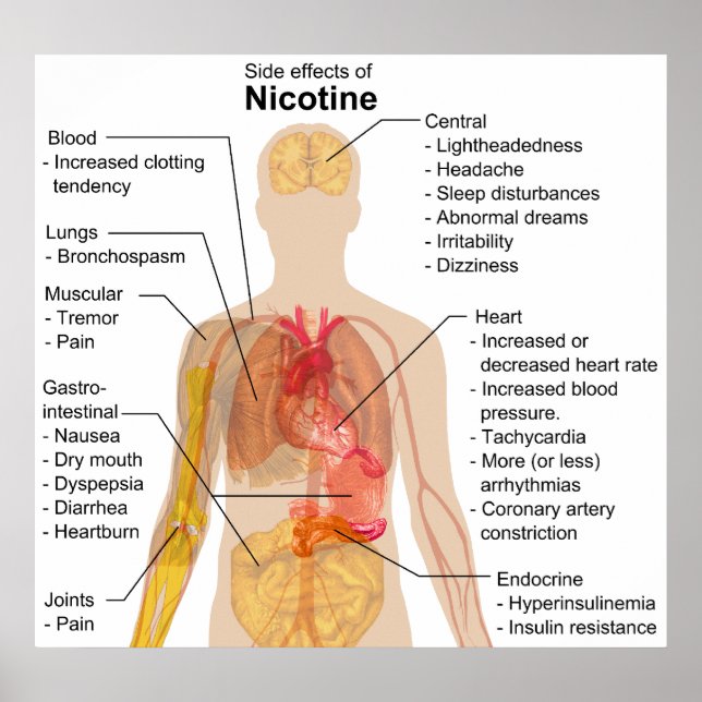 Nebenwirkungen von Nicotin auf die Organkarte des  Poster (Vorne)