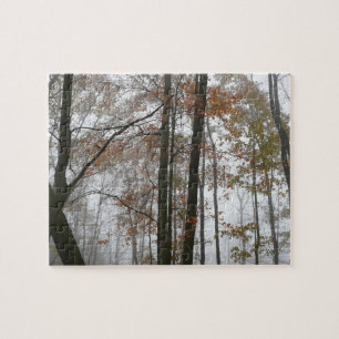 Nebliger Herbst in Pennsylvania Herbst Natur
