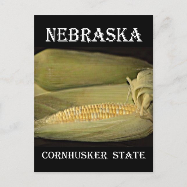 Nebraska Cornhusker Staat Postkarte (Vorderseite)