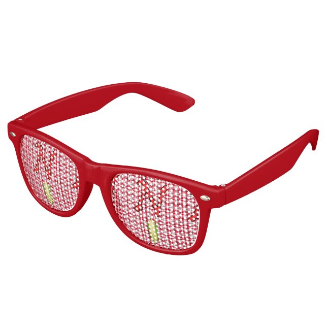 Nebraska Erwachsene Retro Party Shades Partybrille (Schrägansicht)
