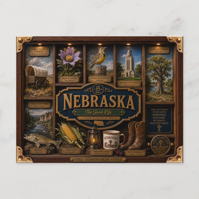 Nebraska Shadow Box 3D Figurine Staat Postkarte (Vorderseite)