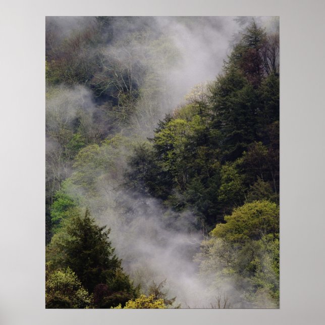 Nebst dem Frühlingsregen aus dem Berg aufragend, Poster (Vorne)
