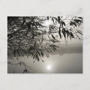 Nebst der Shadow-Postkarte Postkarte