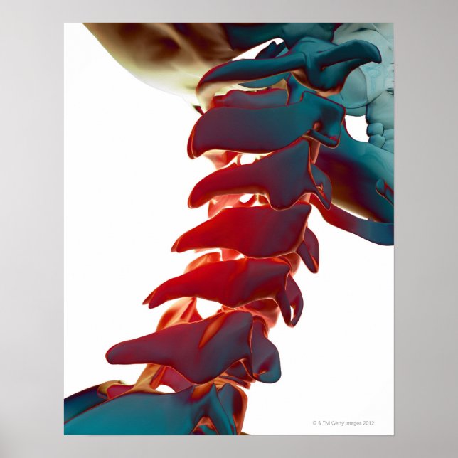 Neck Bones Poster (Vorne)