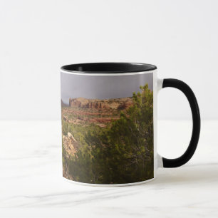 Neck Springs Trail im Canyonlands National Park Tasse