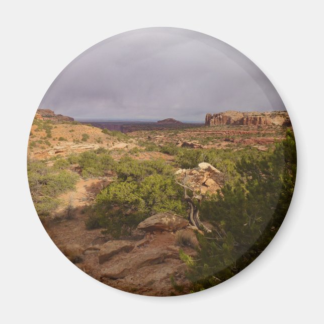 Neck Springs Train the Canyonlands National Park Magnet (Vorne)