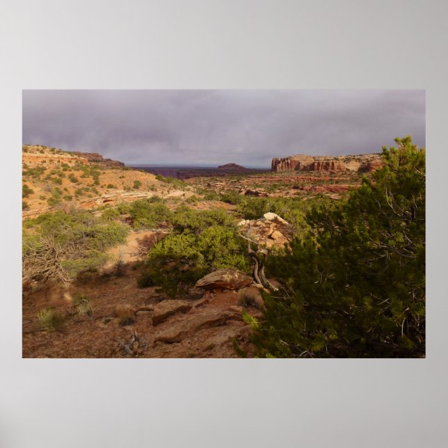 Neck Springs Train the Canyonlands National Park Poster (Vorne)