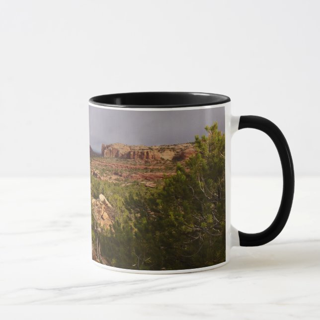 Neck Springs Train the Canyonlands National Park Tasse (Rechts)