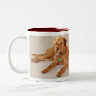 Neco, das sich hinlegt zweifarbige tasse