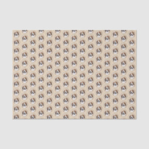 Nederlandse Kooikerhondje Malerei - Hunde Kunst Seidenpapier