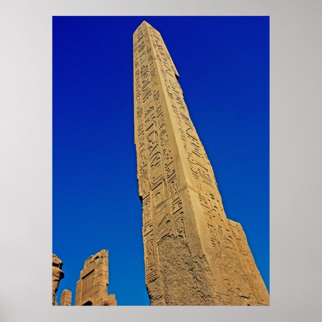Needled in Karnak! Poster (Vorne)