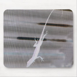 Negatives Bild einer Eidechse auf einem Fenster Mousepad